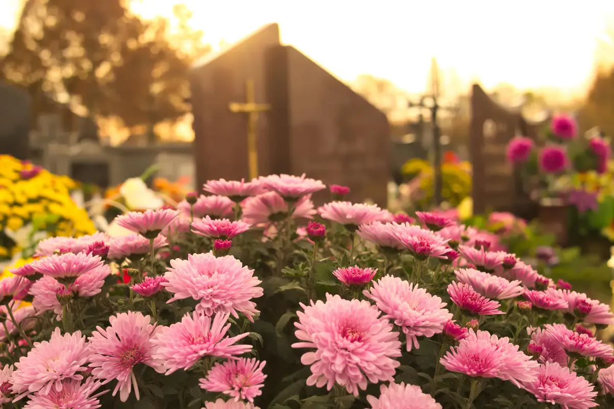 Fleurs dans un cimetière