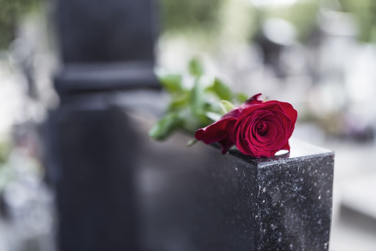 Rose posee sur une pierre tombale